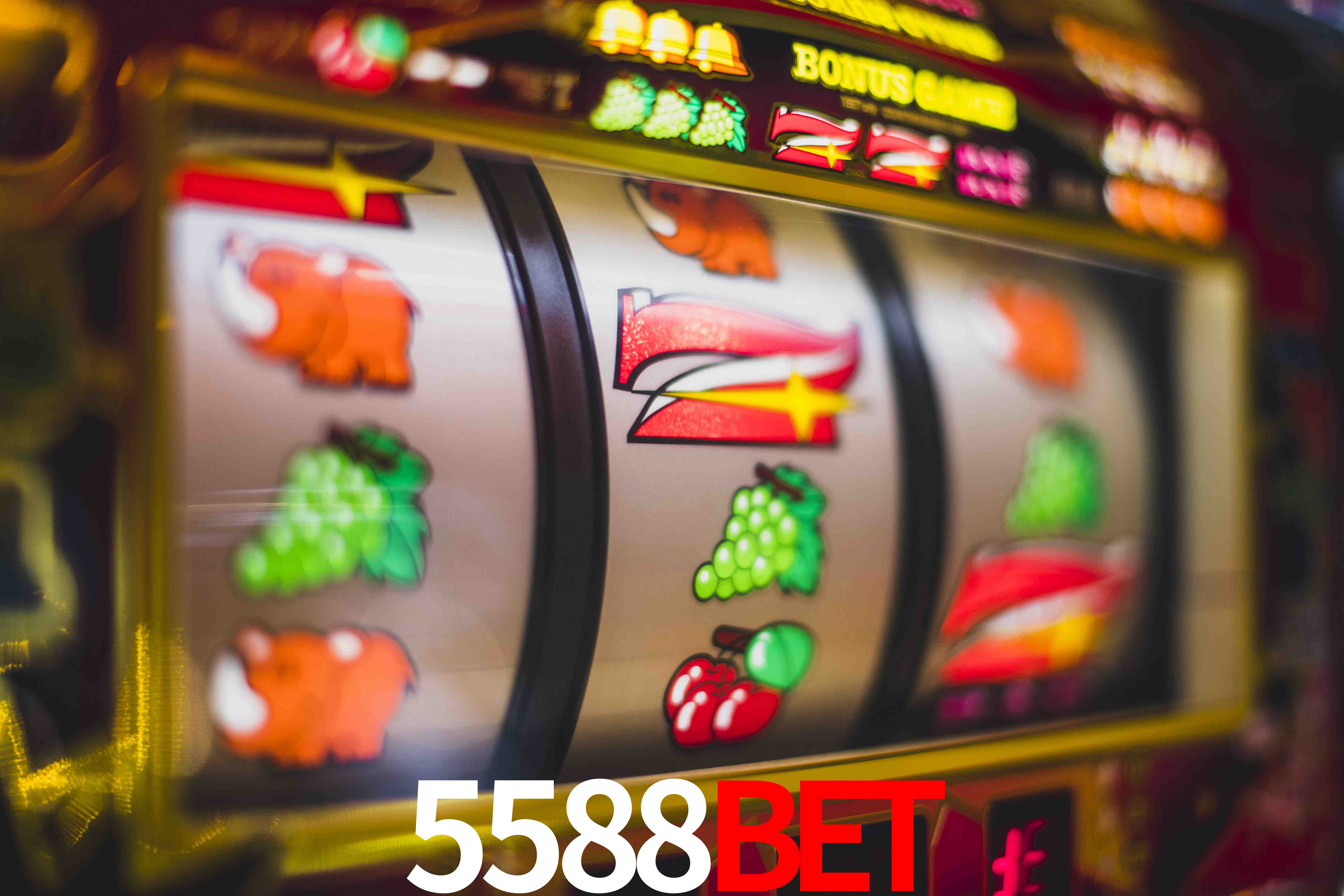 Sports Statistics 5588BET